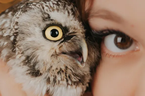 كازينو أول ستار سلوتس الدعم